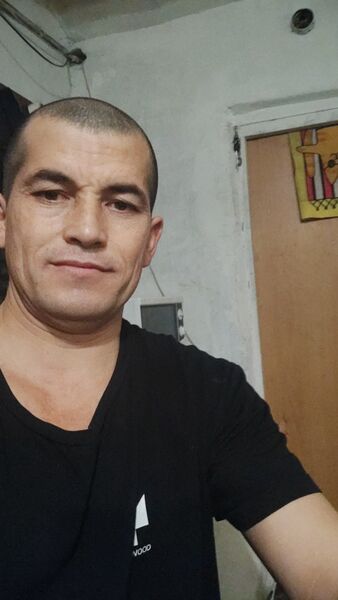  -,   , 40 ,   ,   