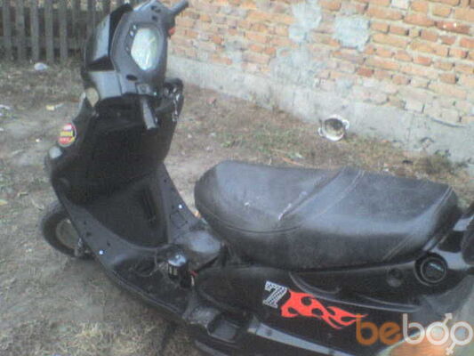  ,   Broza, 31 ,   