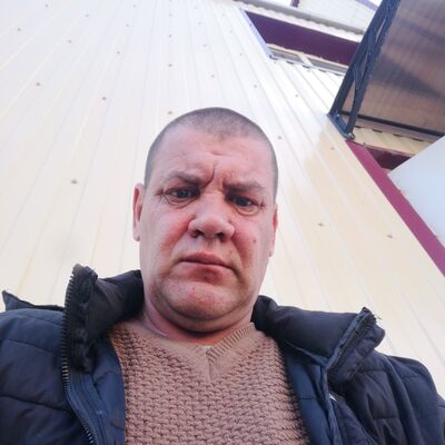  -,   , 51 ,  