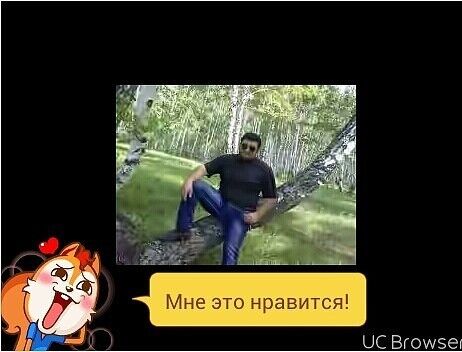  ,   Bek, 39 ,   ,   , c , 
