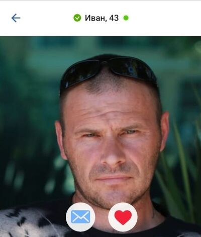  -,   , 43 ,     , c , 