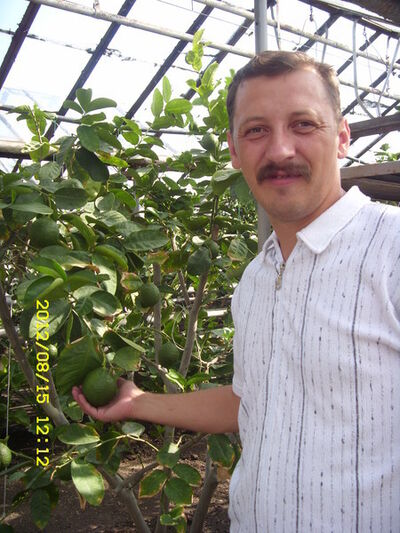  ,   , 51 ,   