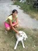   ,   , 33 ,  