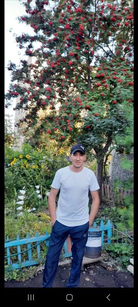  ,   ARSTAN, 30 ,   ,   