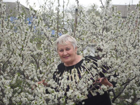  ,   , 66 ,   ,   , c 