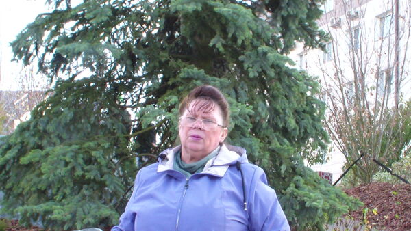  ,   , 71 ,     , c , 