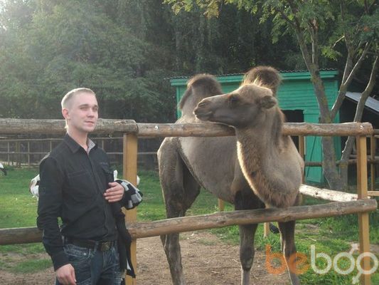  2044209  Sergey1988, 37 ,    