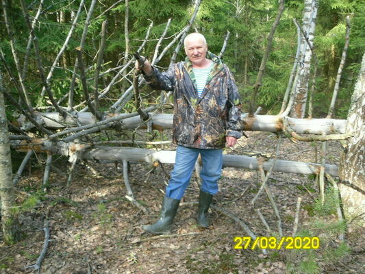  ,   , 65 ,  