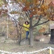  ,   , 46 ,   ,   , c 
