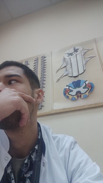  ,   ABUU, 24 ,   ,   