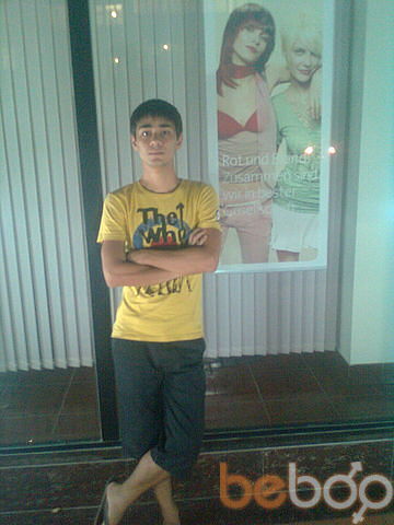  ,   Timur1221, 36 ,   ,   , c 
