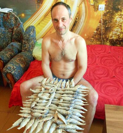  ,   , 56 ,  