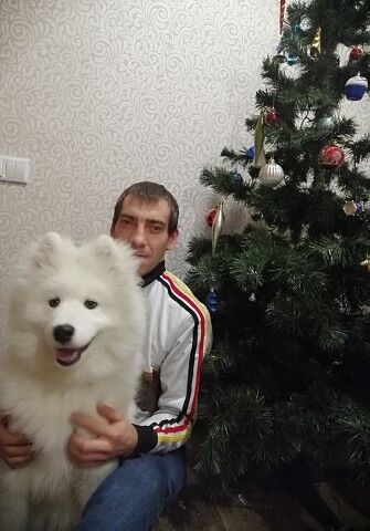 ���������� �����������, ���� ������� �������, 36 ���, ������������ ��� ����� � ���������, c�������� ���������