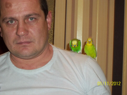  ,   , 53 ,     , c , 
