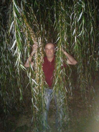  ,   , 51 ,   ,   , c , 