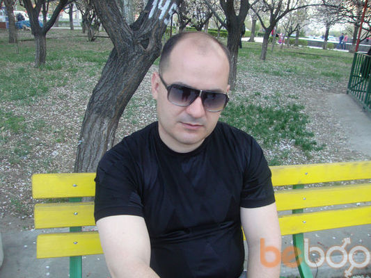  ,   Mr Ed, 41 ,   