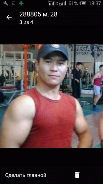  ,   Zamir, 31 ,   ,   