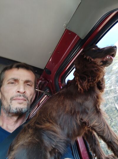  ,   , 60 ,   
