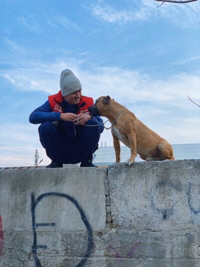 ,   Zaza, 31 ,   ,   