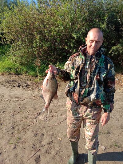  ,   Vlad i mir, 53 ,   , 