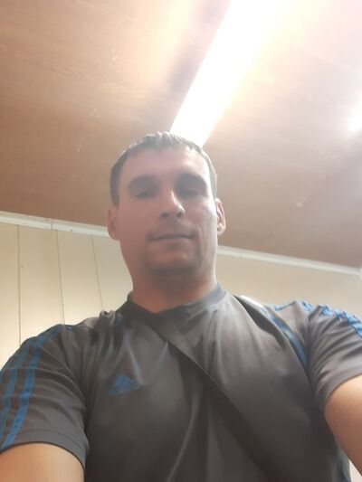  ,   Vitek, 43 ,     , c 