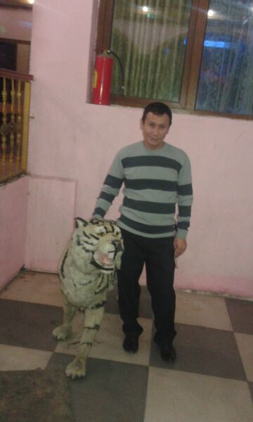  ,   , 53 ,   