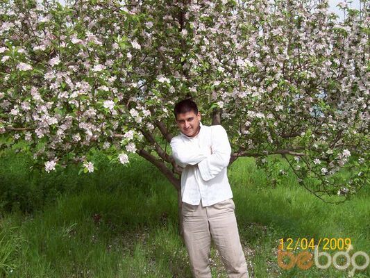  ,   Kiss, 37 ,   ,   , c 