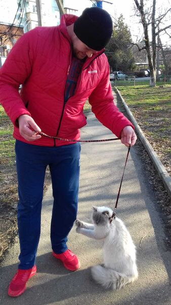  ,   Roman, 39 ,   ,   