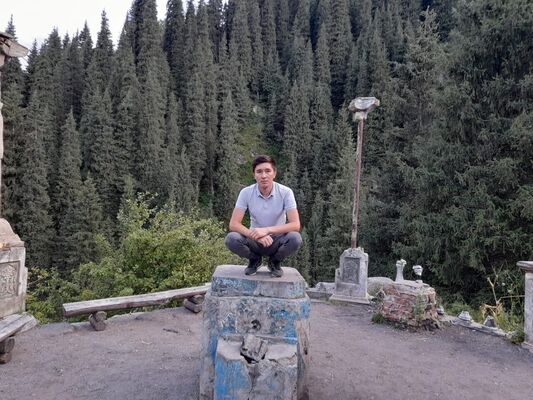  ,   Daler, 31 ,   ,   