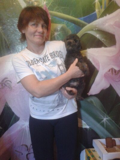  ,   , 58 ,   ,   , c 