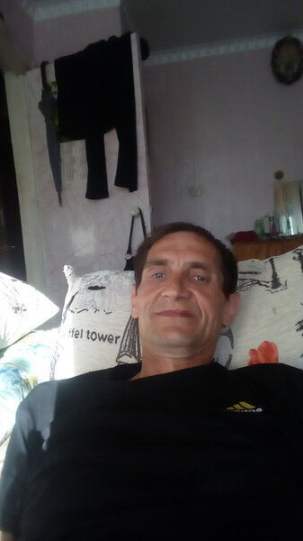  10382599  , 62 ,    