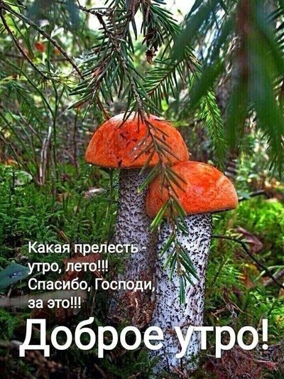   ,   , 74 ,   