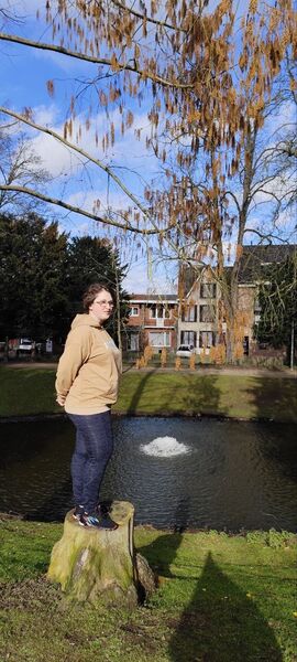  Sint-Truiden,   , 27 ,   c , 