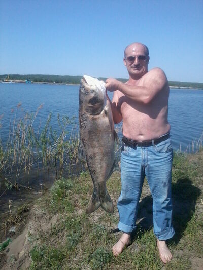  ,   Volodja, 59 ,  