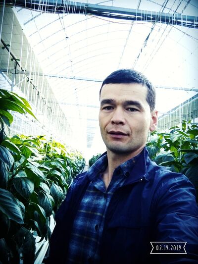  ,   Jaxaa, 37 ,   ,   , c 