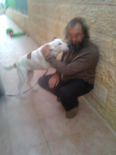  ,   2012, 61 ,   