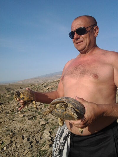  ,   , 56 ,   