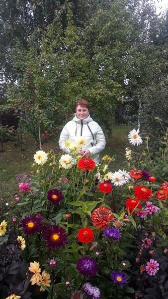  ,   , 51 ,   ,   , c , 