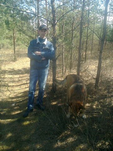  7486249  Sandris, 55 ,    