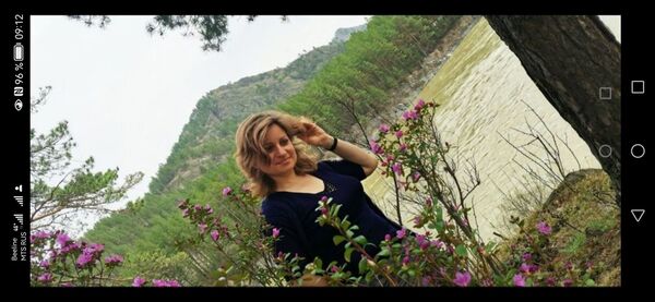  -,   Phenix, 46 ,   ,   