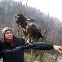  ,   , 33 ,   