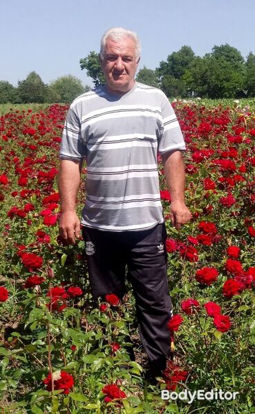  ,   , 63 ,   ,   , 
