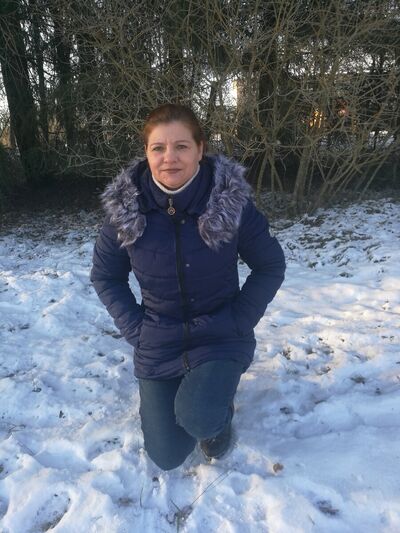  ,   , 41 ,  