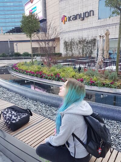  -,   , 31 ,   ,   