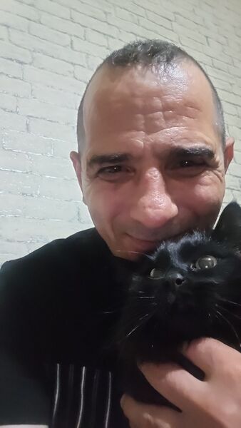  -,   , 51 ,   ,   