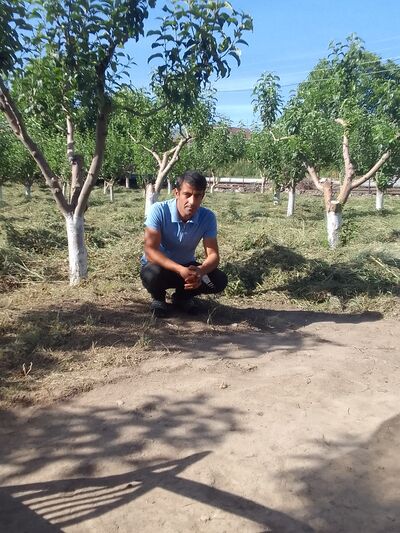  ,   Armen, 35 ,   ,   