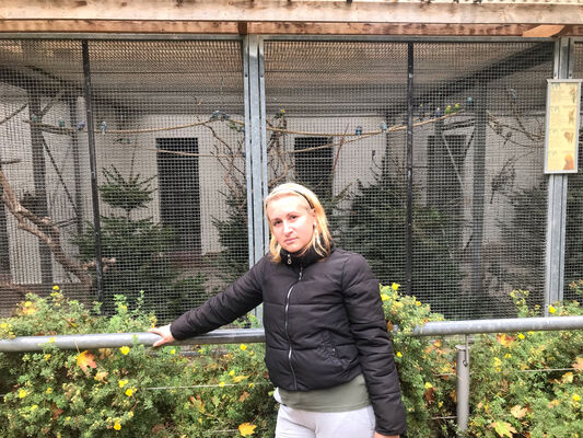  Zwickau,   , 34 ,   ,   , c , 