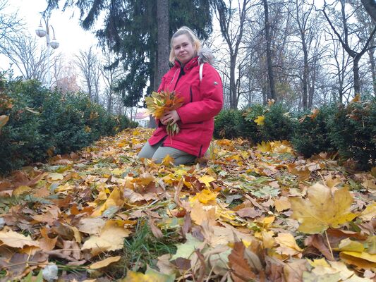  ,   Netel, 30 ,     , c 