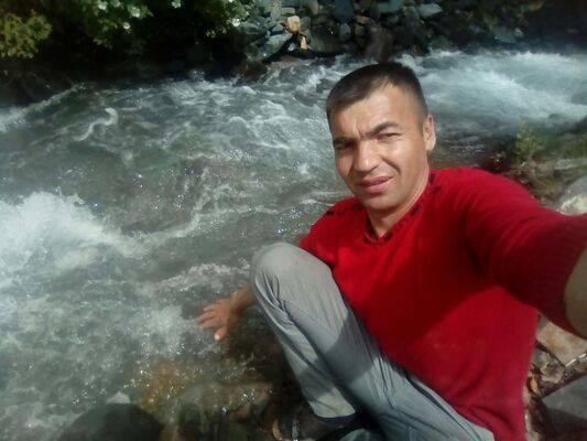  ,   , 41 ,   ,   