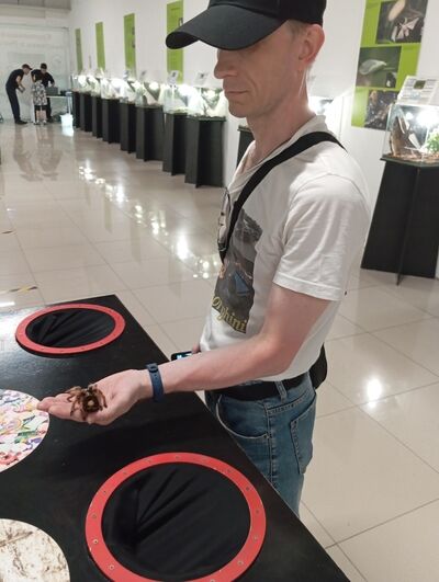  ,   , 46 ,   ,   , c , 